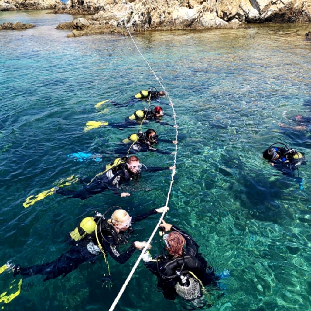 Ayvalık 3 sea dalış kursu