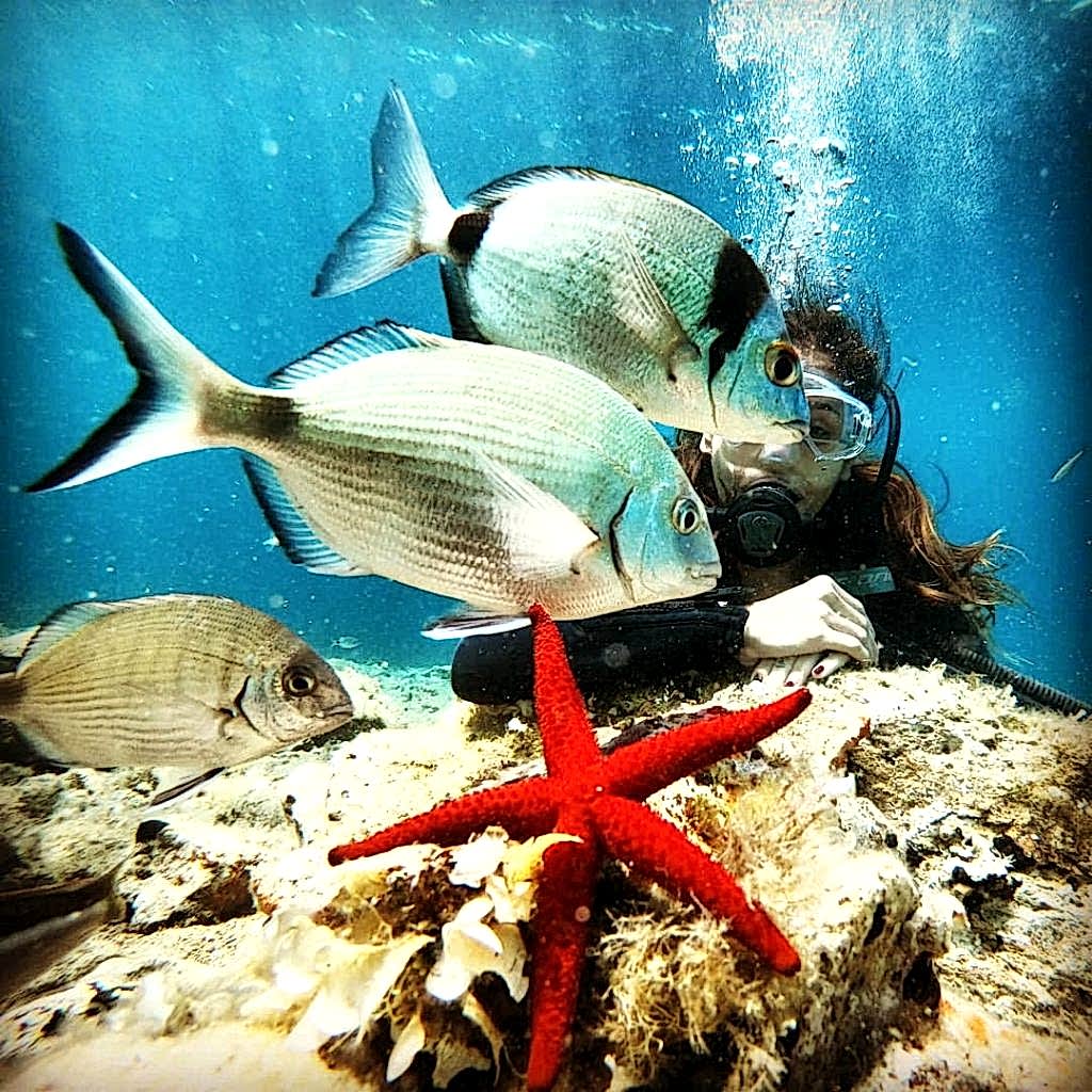 en iyi dalış okulu